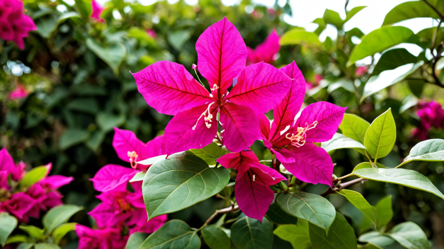 ${image.categoryname+'-'+image.imgtitle}