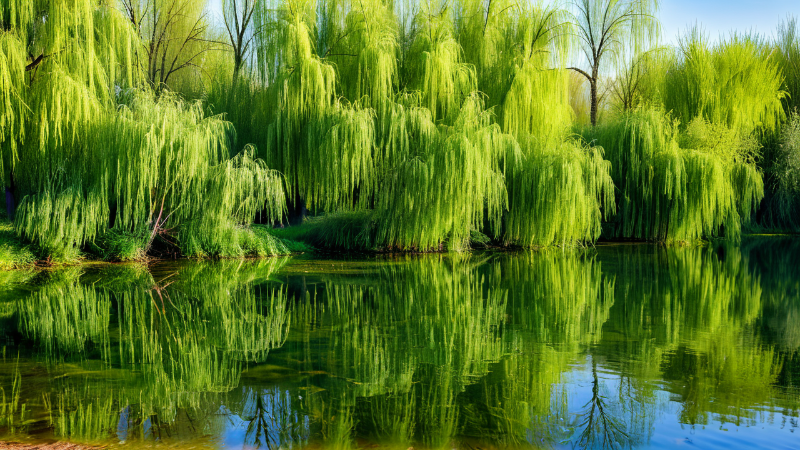 ${image.categoryname+'-'+imgtitle}